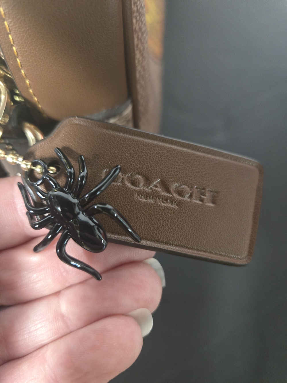 Coach Signature Pumpkin π Halloween Collection 2025 π·οΈ Crossbody - Picture 3 of 8